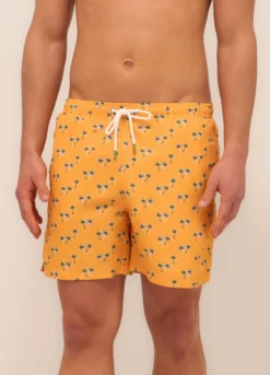 Boxer mare a fantasia uomo