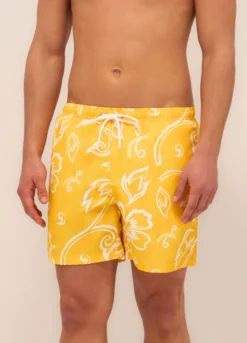Boxer mare a fantasia uomo