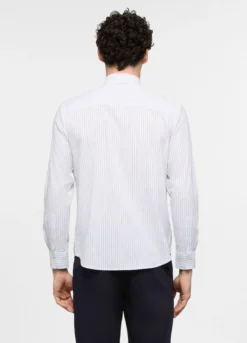 Camica regular fit con collo classico in cotone uomo