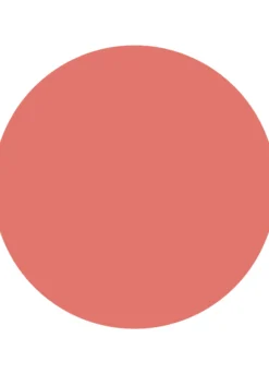 Catrice Velvet Pudding Blurring Blush 050
