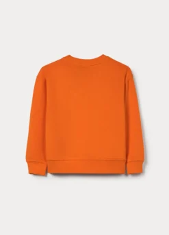 Felpa girocollo in french terry di puro cotone bambino