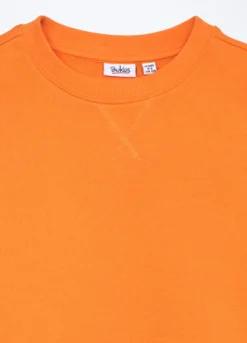 Felpa in french terry di puro cotone bambino