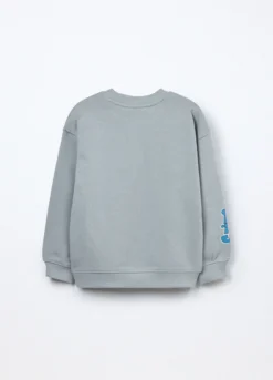 Felpa in french terry di puro cotone bambino