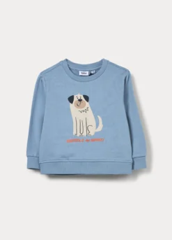 Felpa in french terry di puro cotone bimbo