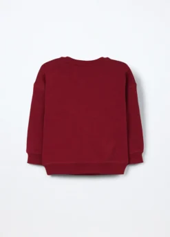 Felpa in french terry di puro cotone neonato