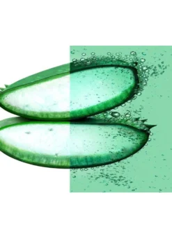 Garnier Shampoo Idratante Fructis Hair Food, Shampoo idratante all'aloe per capelli disidratati, 350 ml.