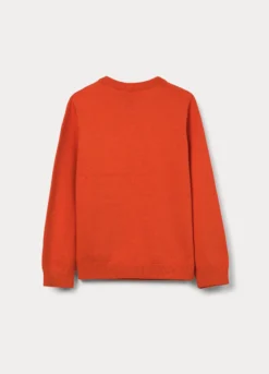 Maglione girocollo tricot in puro cotone bambino