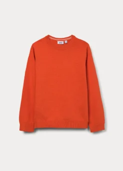 Maglione girocollo tricot in puro cotone bambino