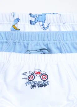 Pack 3 slip in jersey di puro cotone