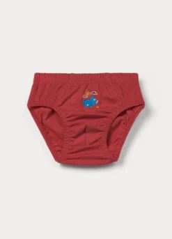 Pack 5 slip in jersey di puro cotone