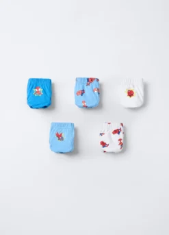 Pack 5 slip Spider in jersey di puro cotone
