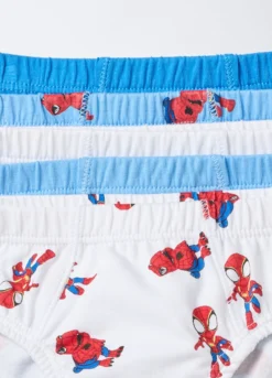 Pack 5 slip Spider in jersey di puro cotone