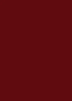 Rossetto stick pigmentato