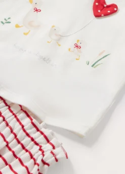 Set in jersey di puro cotone neonata