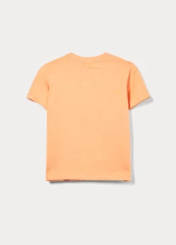 T-shirt girocollo in jersey di puro cotone bambino