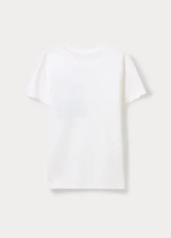 T-shirt girocollo in jersey di puro cotone ragazzo