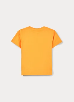 T-shirt Monster Trucks in jersey di puro cotone bambino