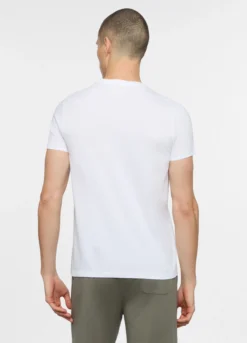 T-shirt girocollo in jersey di puro cotone uomo