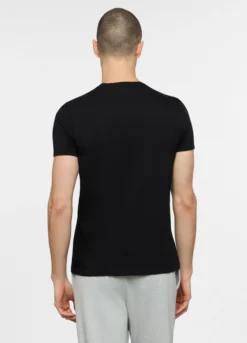 T-shirt girocollo in jersey di puro cotone uomo