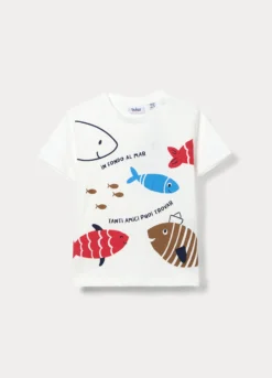 T-shirt girocollo in jersey di puro cotone bimbo