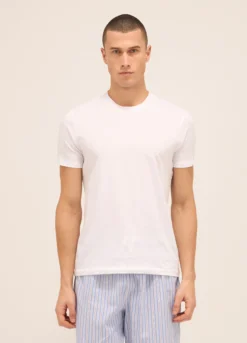 T-shirt girocollo in puro cotone uomo