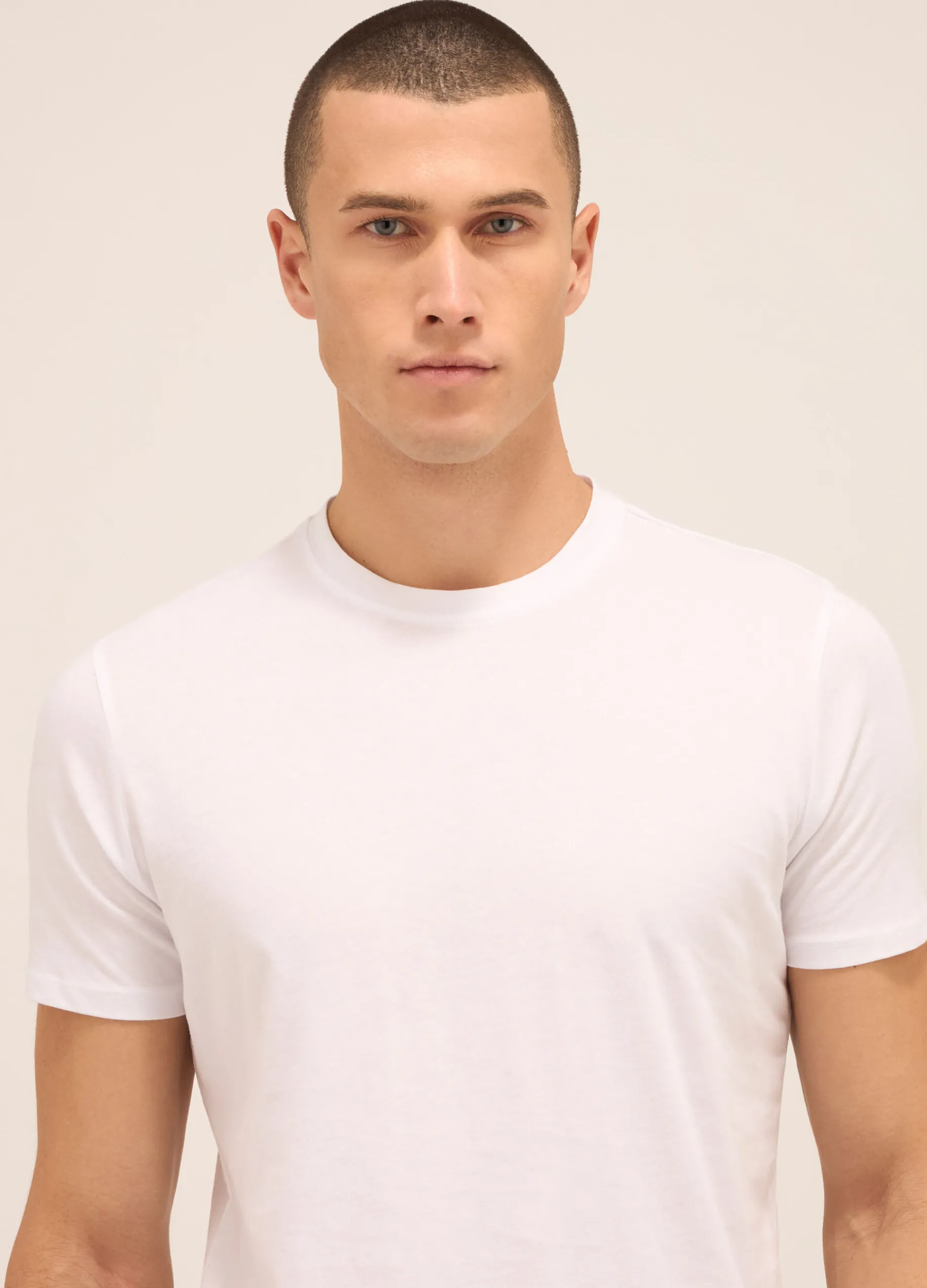 T-shirt girocollo in puro cotone uomo