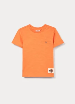 T-shirt in jersey di puro cotone bimbo
