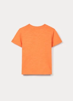 T-shirt in jersey di puro cotone bimbo